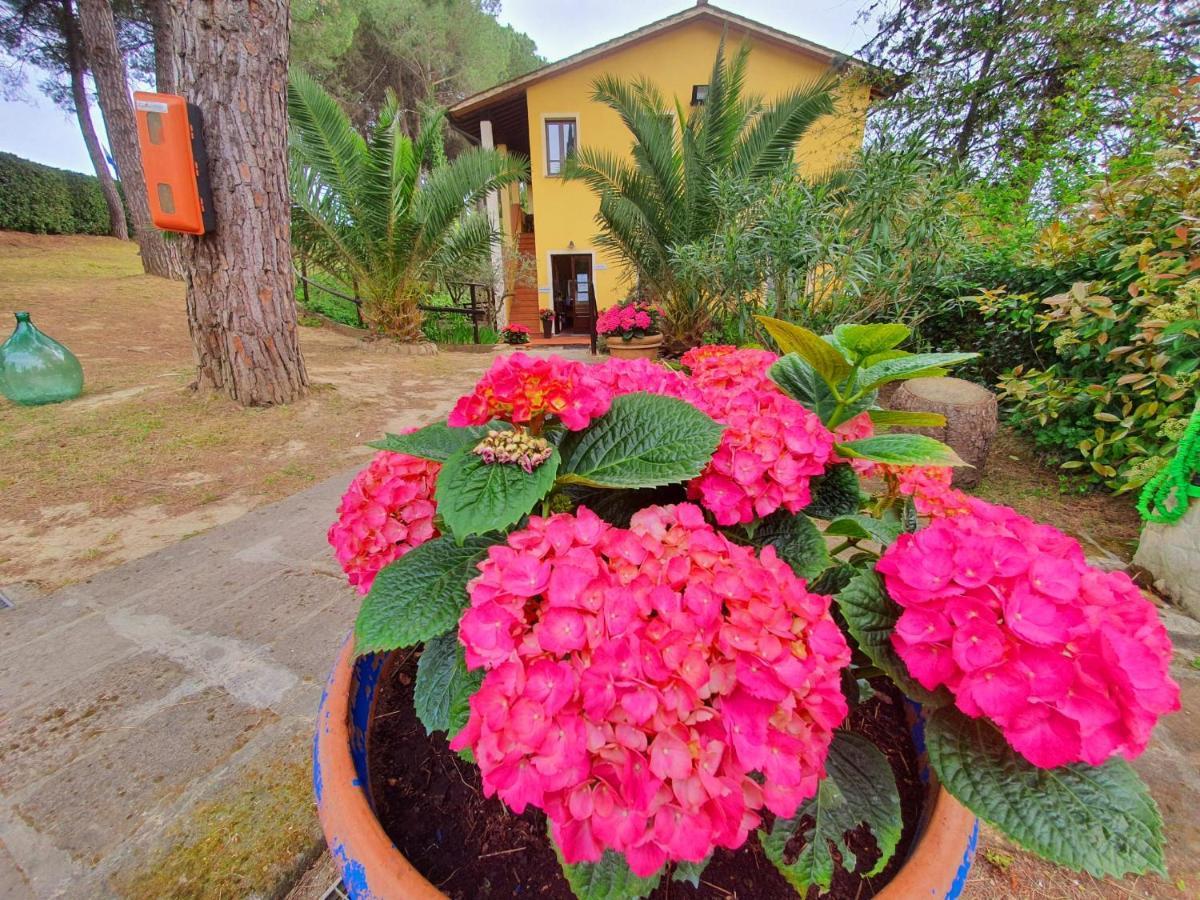 Toscana Village Parco vacanze
