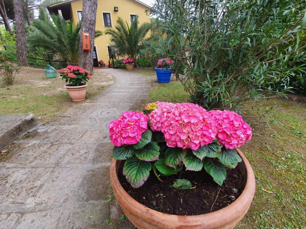 Parco vacanze Toscana Village Montopoli in Val dʼArno