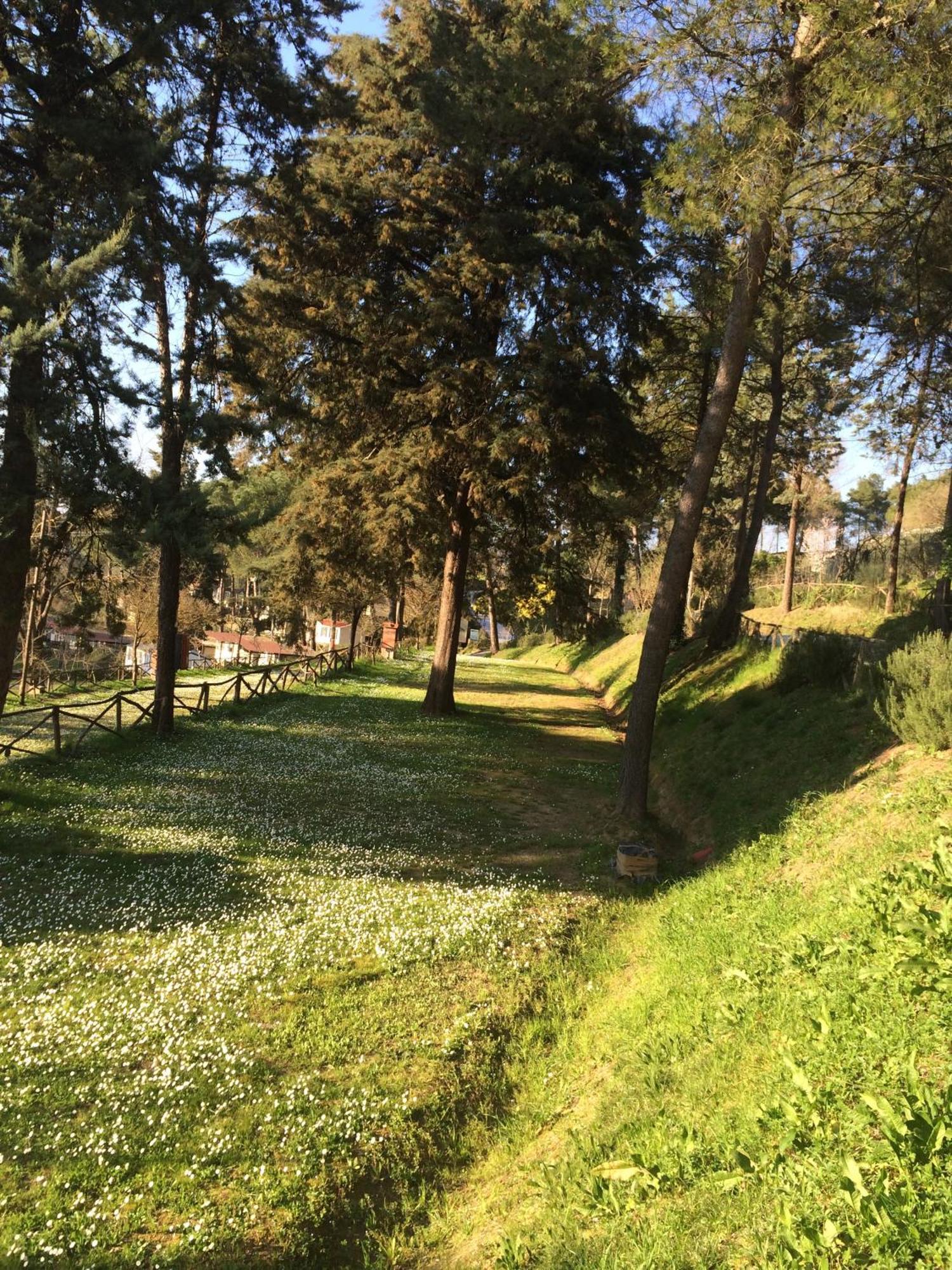 Toscana Village 3* Montopoli in Val dʼArno